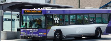 WeGo Bus Images